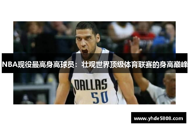 NBA现役最高身高球员：壮观世界顶级体育联赛的身高巅峰